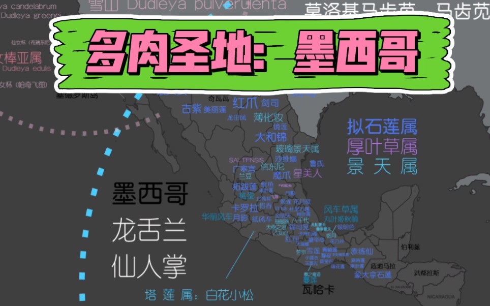 盘点多肉圣地、多肉植物原产地系列:2.墨西哥,它是景天多肉的天赐之地,众多的拟石莲属、厚叶草属和风车草属等属别多肉的老家,也是仙人掌王国,特...