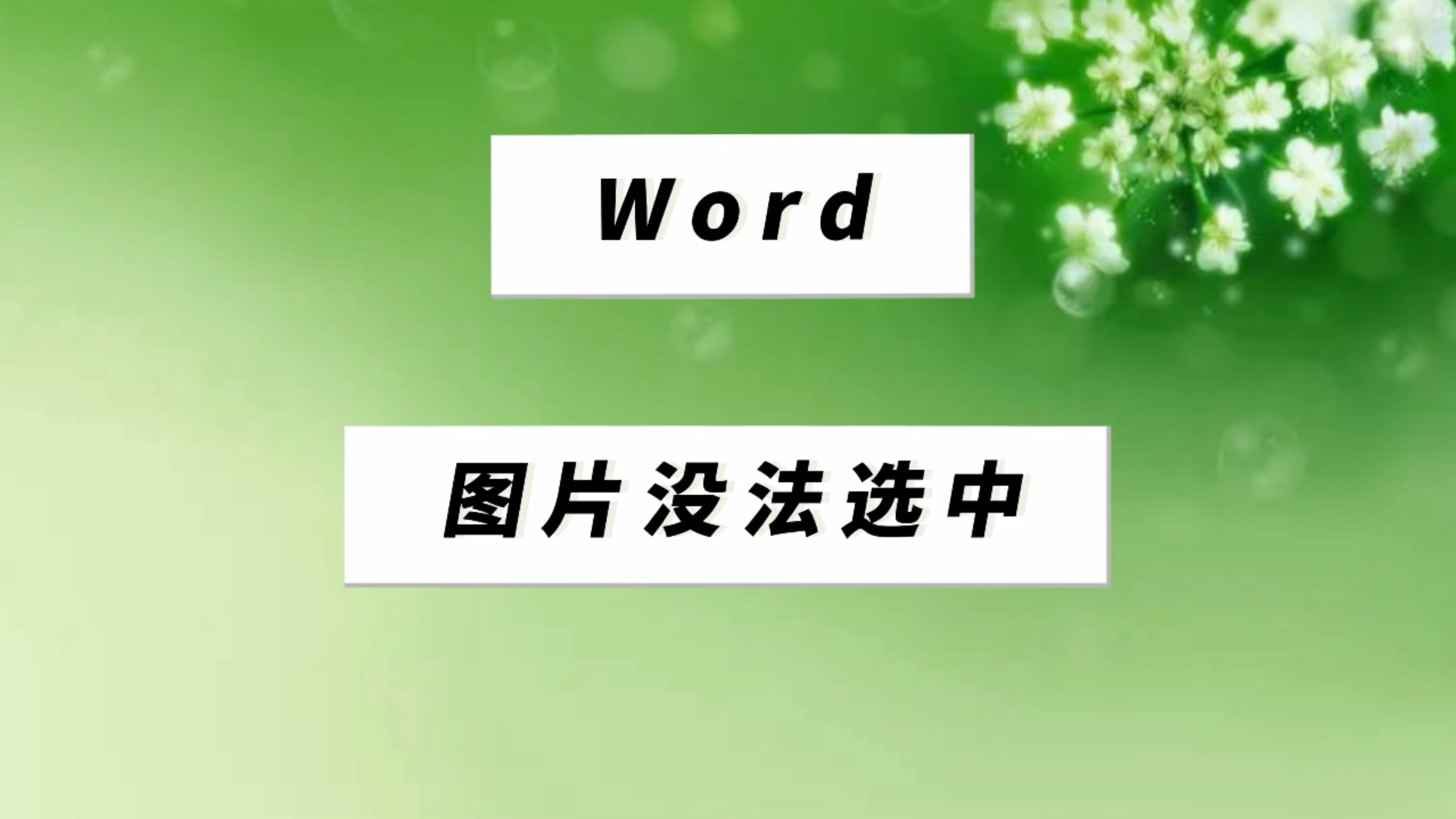 word文档图片没法选择是什么原因