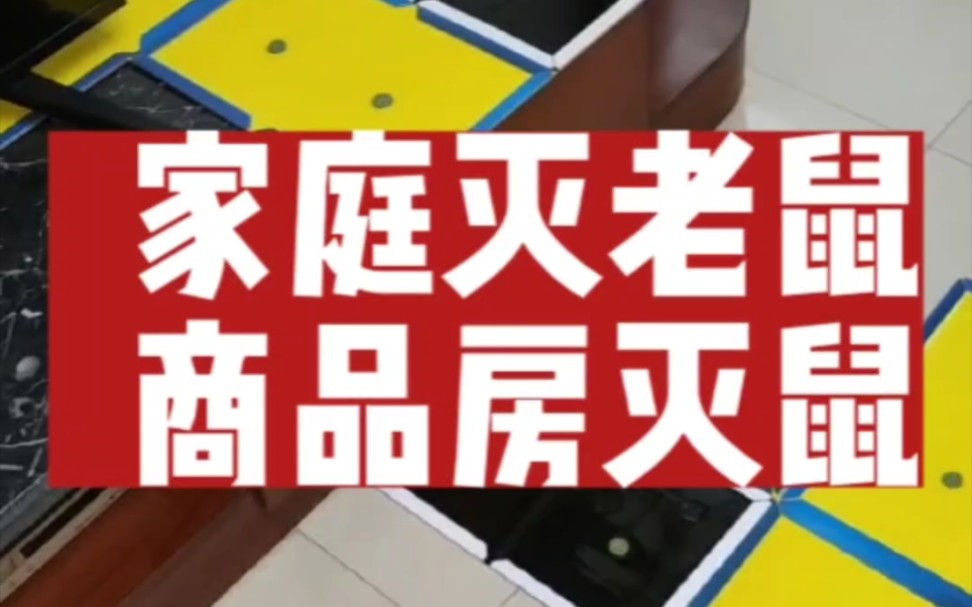 家里有老鼠怎么办?商品房家庭灭鼠技巧方法,中山顺德江门番禺上门捕灭老鼠捉抓老鼠除老鼠防老鼠防治哔哩哔哩bilibili