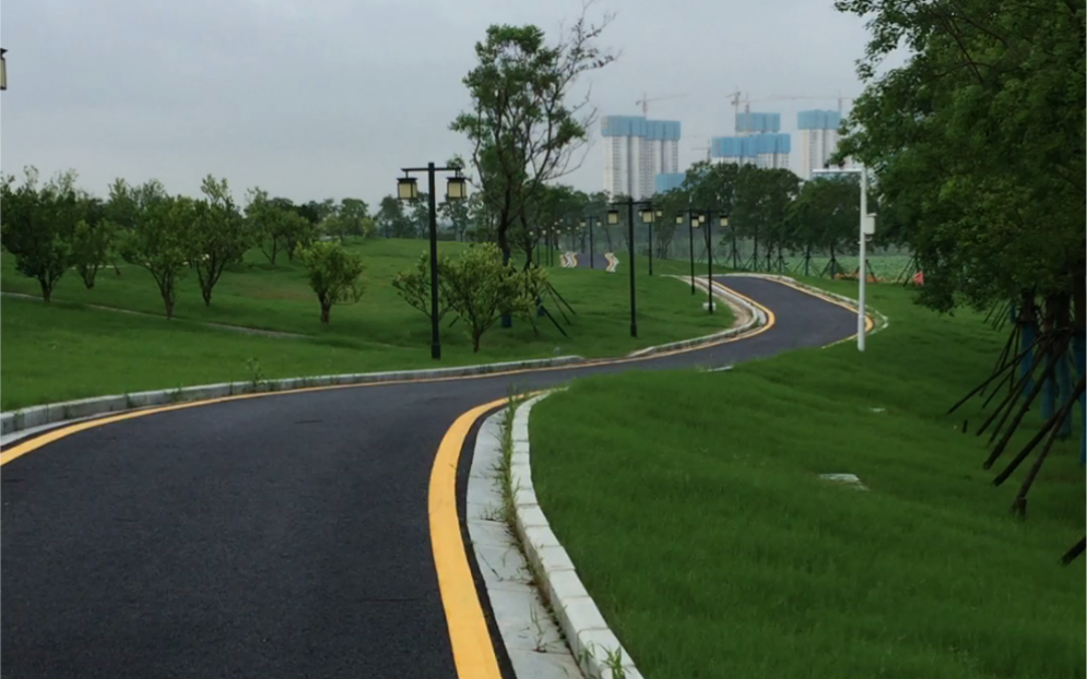 黄家湖湿地公园绿道