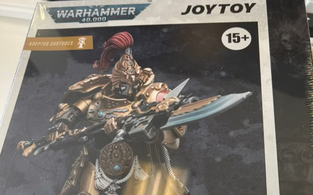 还行的金玉米:暗源禁卫盾卫连长