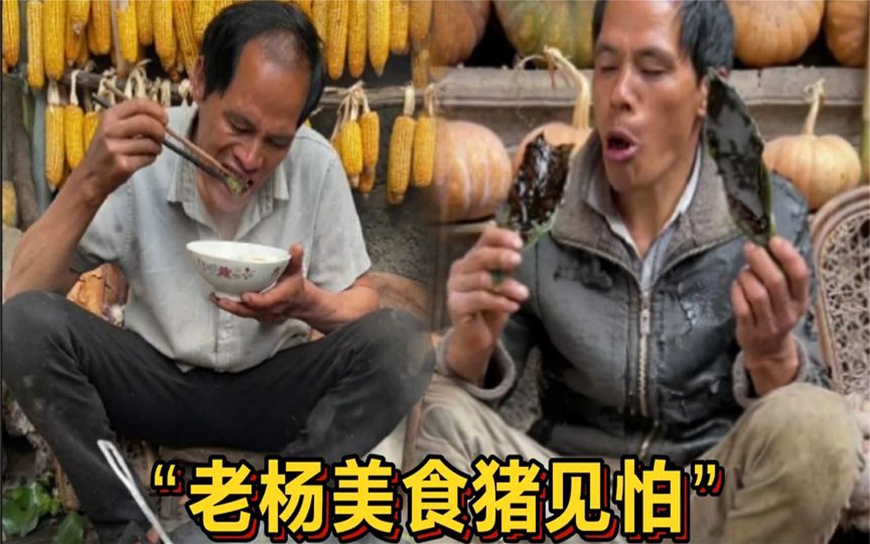 [图]云南农村大叔老杨，烹饪各种奇葩美食走红，网友真是猪见怕