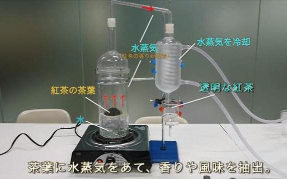 超人气日本透明奶茶做法首曝光!官方释出教学视频在家也可以DIY哔哩哔哩bilibili