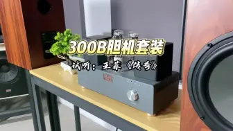 Télécharger la video: 300B+8寸书架箱，试听歌后王菲的《传奇》，声音清脆动人！