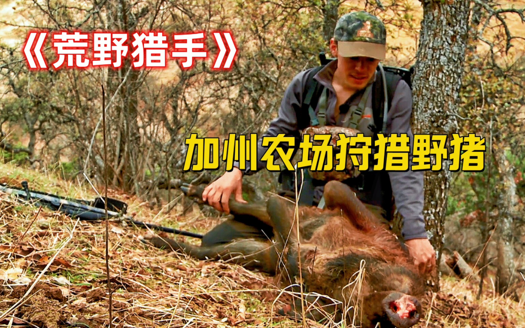 加州农场受到野猪侵害，荒野猎人一出手，就是直接扒皮烧烤BBQ！