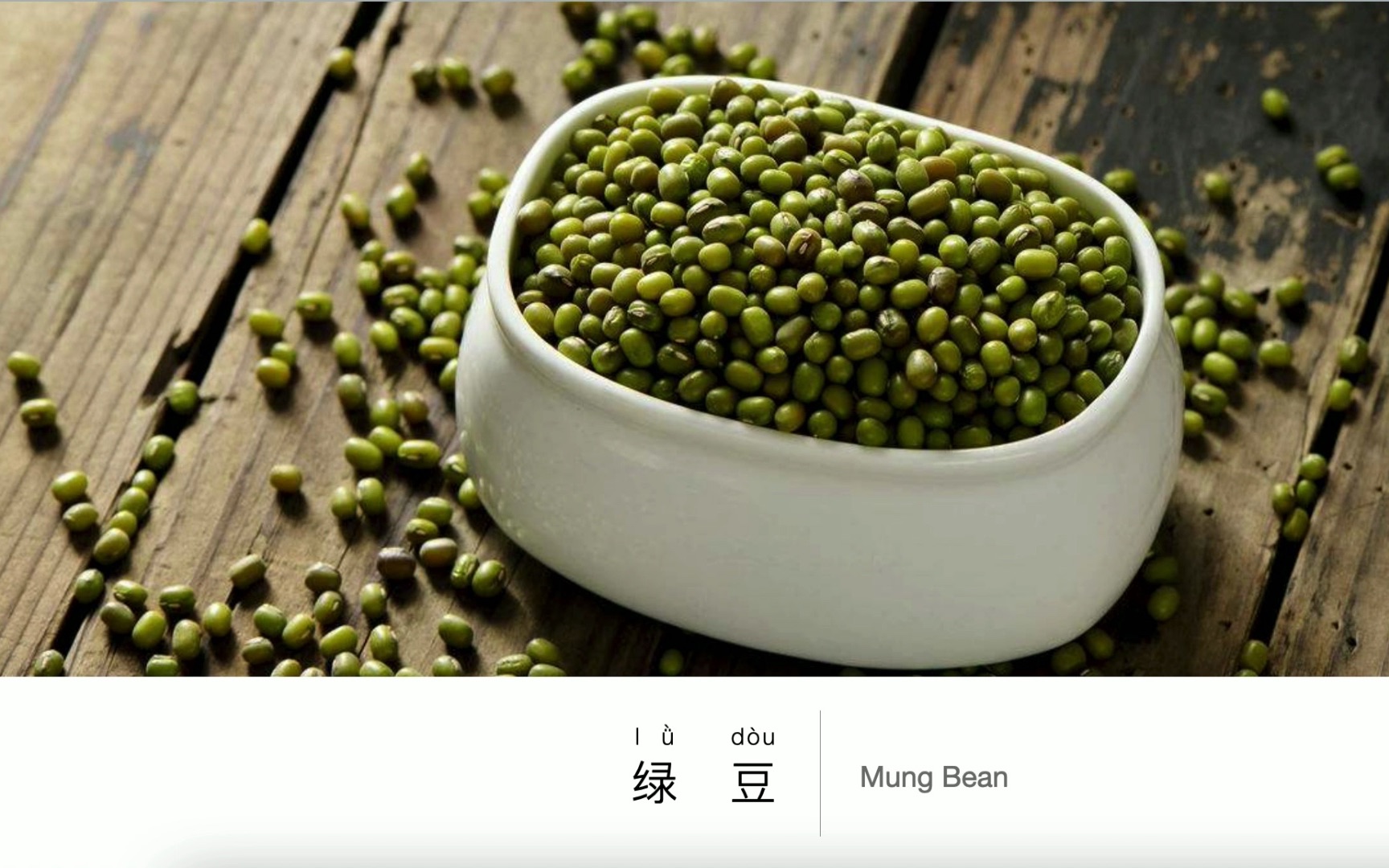 Bean : Mung Bean , 豆类:绿豆哔哩哔哩bilibili