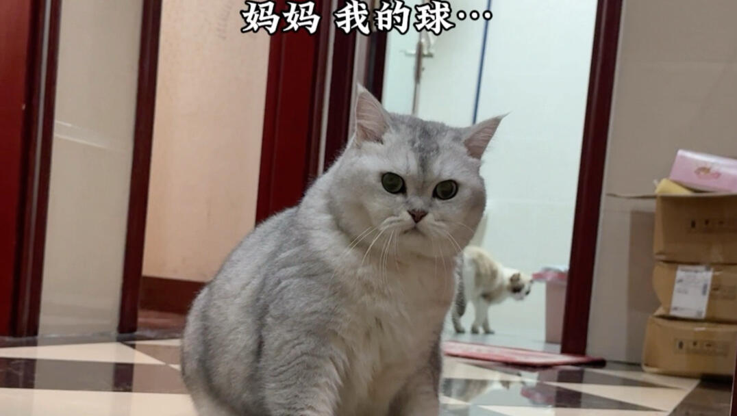 这不就是两个小朋友在玩耍嘛_哔哩哔哩_bilibili