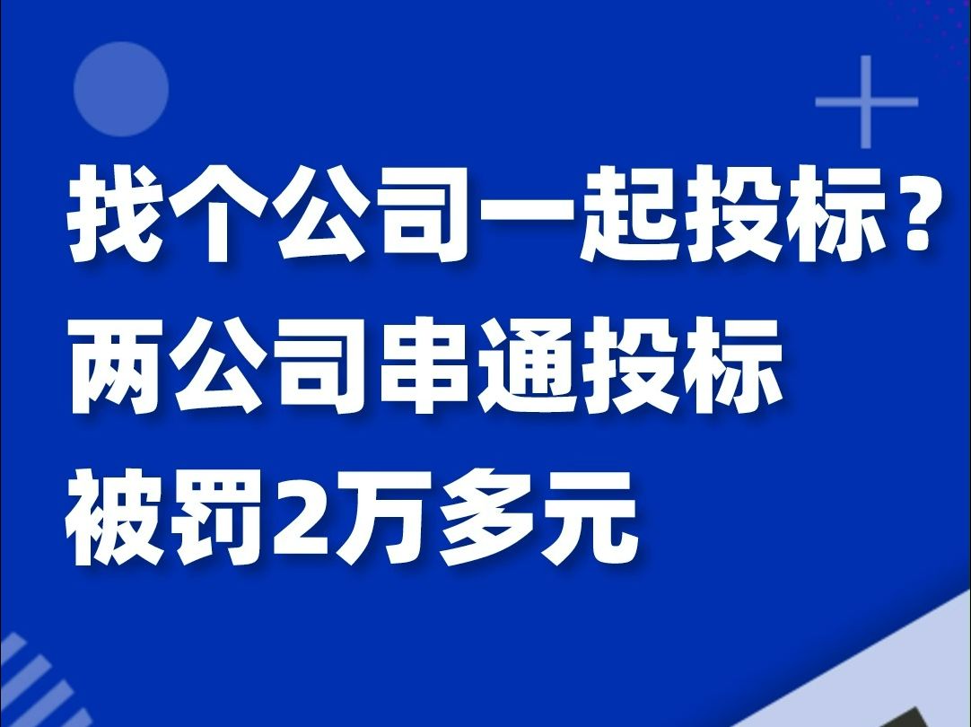 供应商典型串标操作:找个公司一起投标?被罚2万多元!哔哩哔哩bilibili