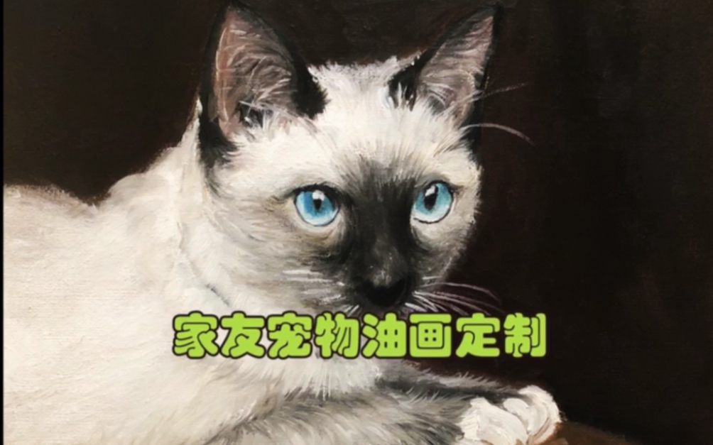 【宠物油画】客户定制猫猫绘制过程!哔哩哔哩bilibili