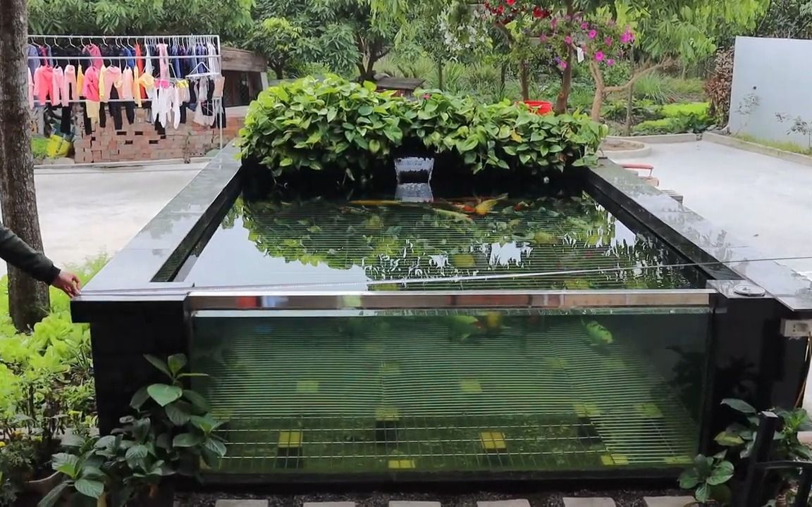 【水泥模型】花园锦鲤池改造--鱼塘和花园设计