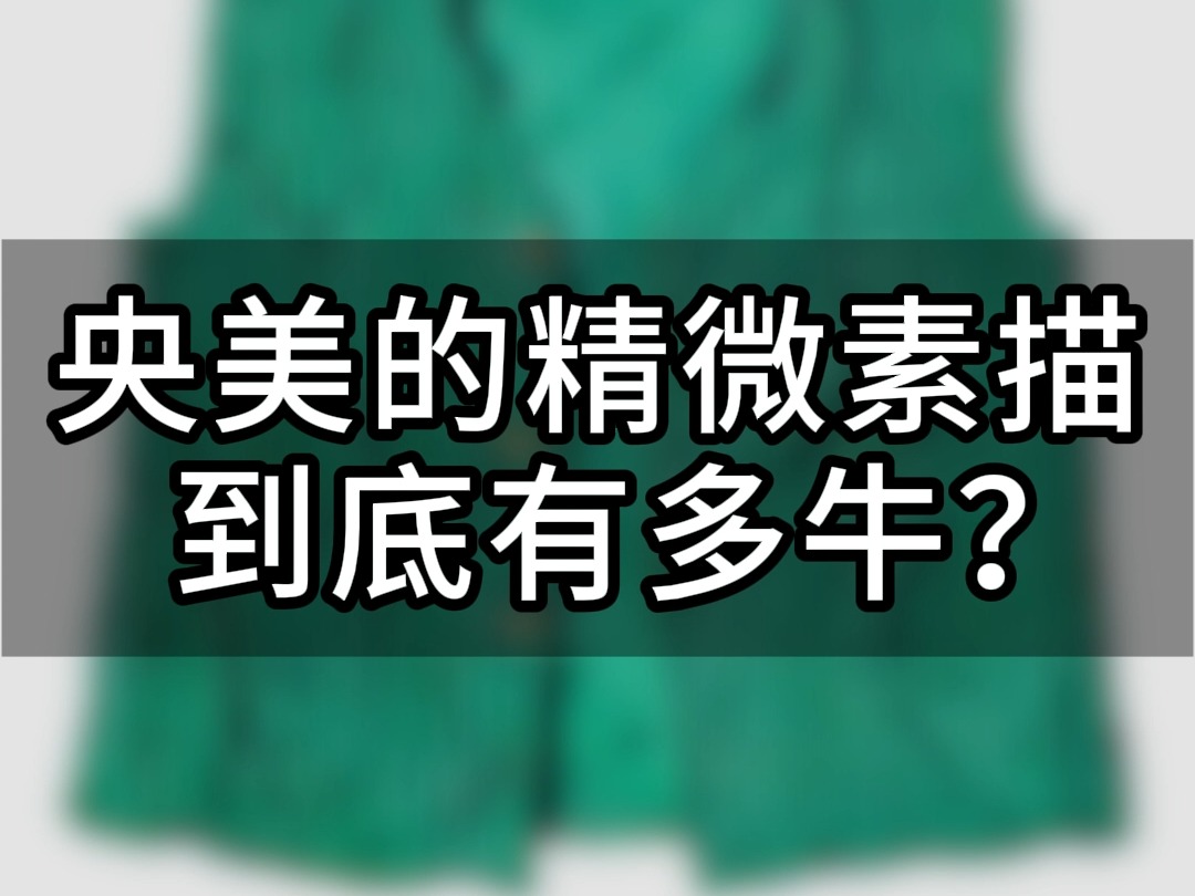 中央美术学院的精微素描到底有多牛?简直堪比照片打印机!!哔哩哔哩bilibili