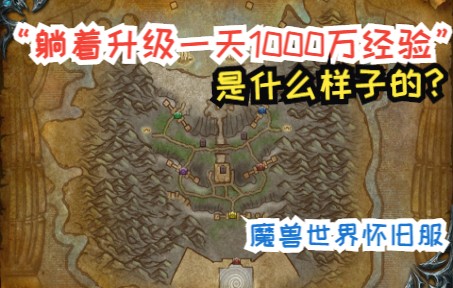 [图]魔兽世界“躺着升级1天1000w经验”在别人眼中是什么样子的？怀旧服WLK巫妖王之怒