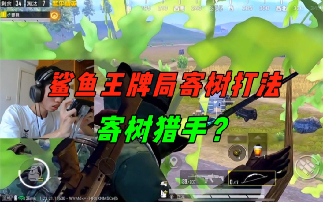 《鲨鱼用饮料当诱饵,再次当上寄树主播六人,这招果然管用!》-鲨雕哟sdy-鲨雕哟sdy-哔哩哔哩视频