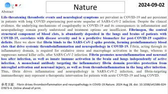 Скачать видео: Nature—新冠后“脑雾”发生的根源