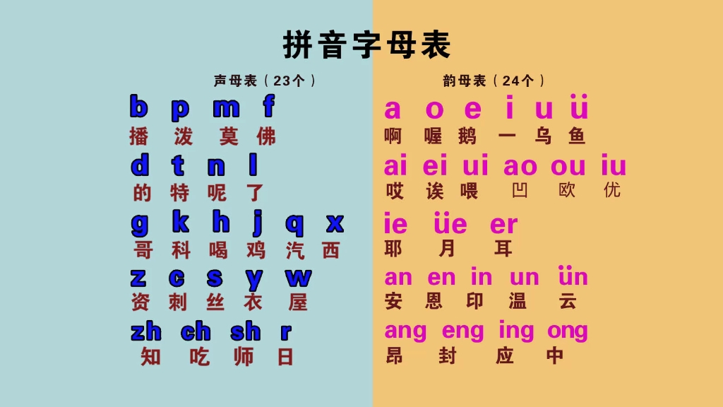 汉语拼音字母表零基础快速入门,声母表、韵母表、整体认读音节哔哩哔哩bilibili