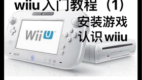 Wiiu从入手到精通不严肃教程 第二期 安装 汉化 跨区游戏 4 30 哔哩哔哩 つロ干杯 Bilibili