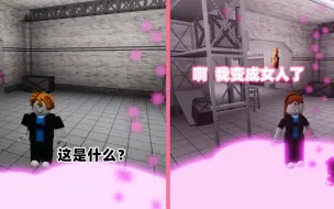 下载视频: ROBLOX：一家都是女孩子的公司，男生进去就会变成伪娘