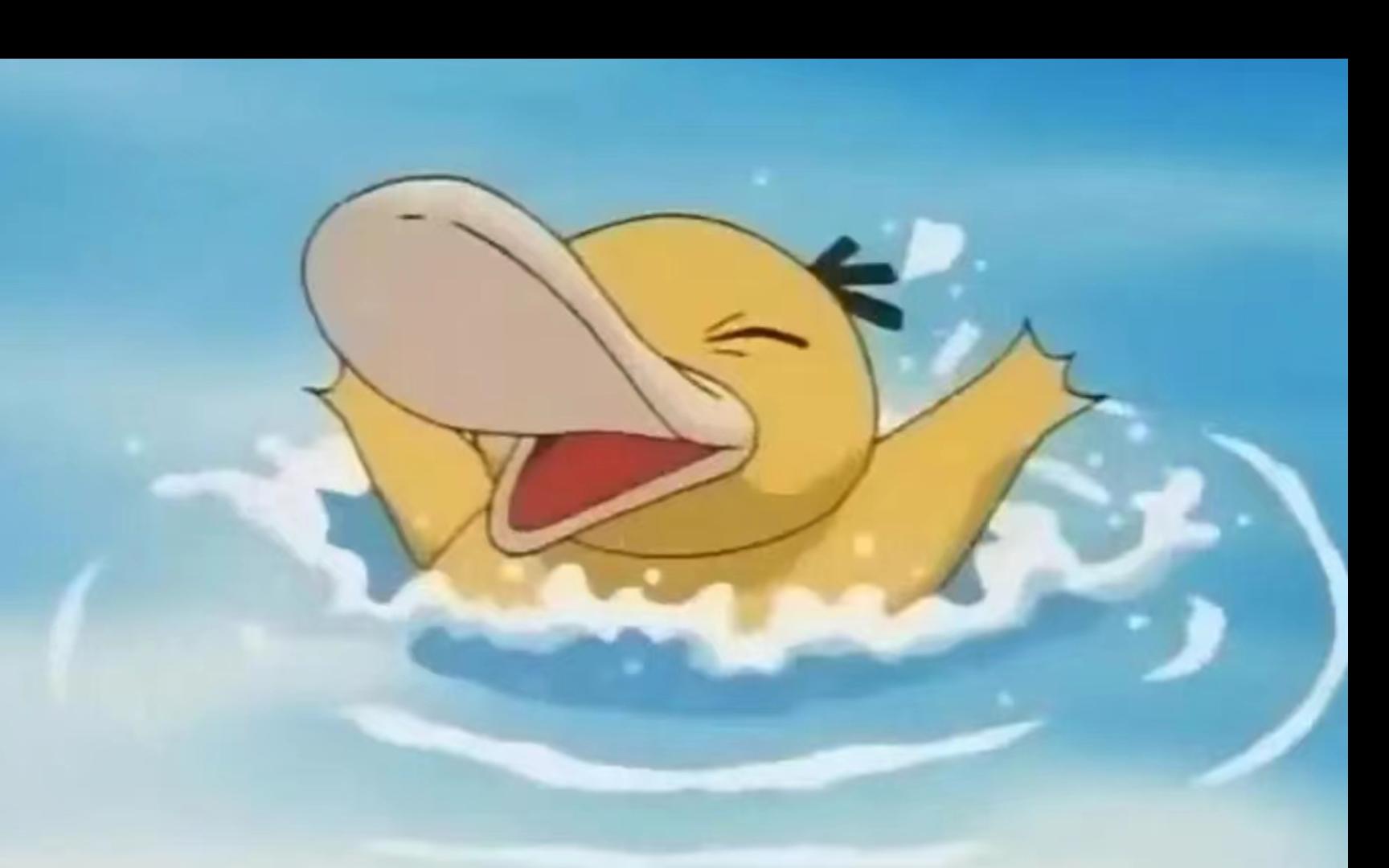 关于旱鸭子的那些事