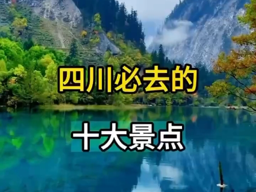 探索了美丽的四川省,感受到了当地的风土人情和丰富的文化底蕴.哔哩哔哩bilibili