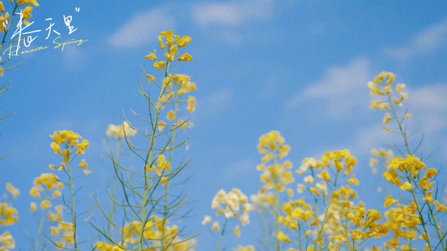 【斌lz】最新视频来袭,快来看看吧!