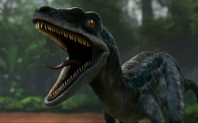 迅猛龙四姐妹【狼群】——布鲁,德尔塔,艾科,查理