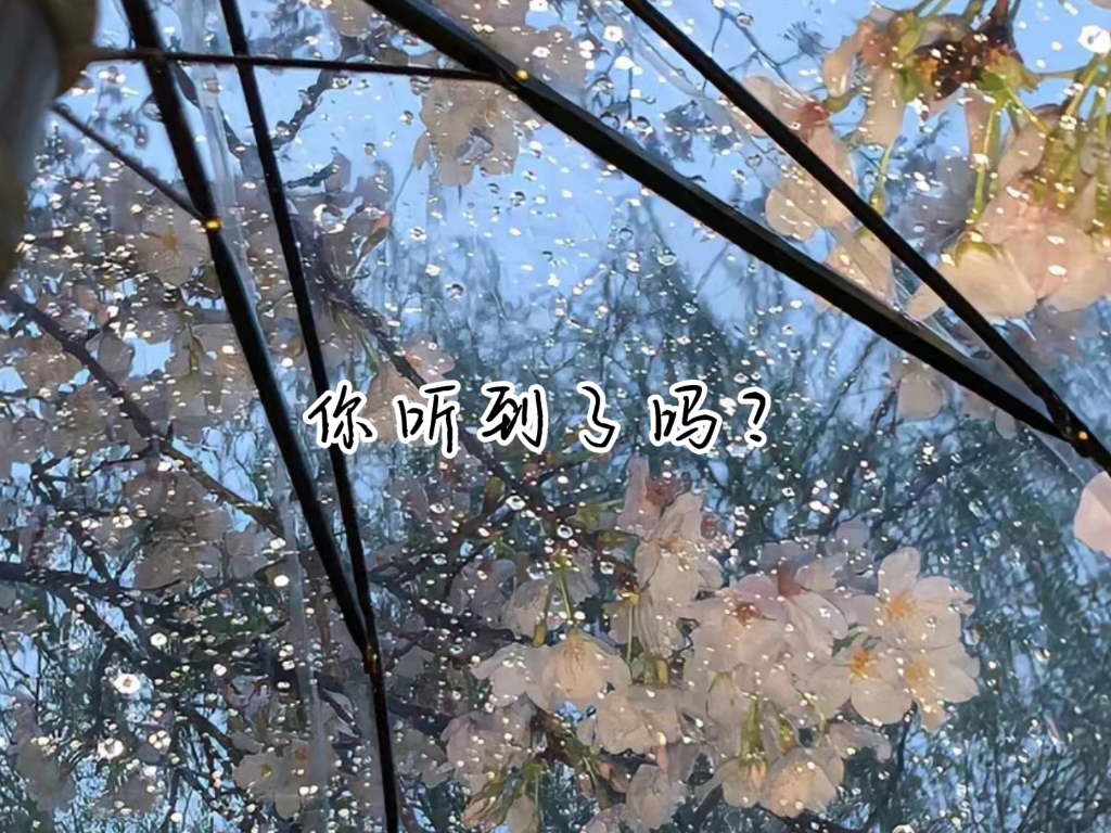 报告姐姐!今天也有想你