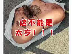 Download Video: 【微拍堂】这不能是太岁！！！！