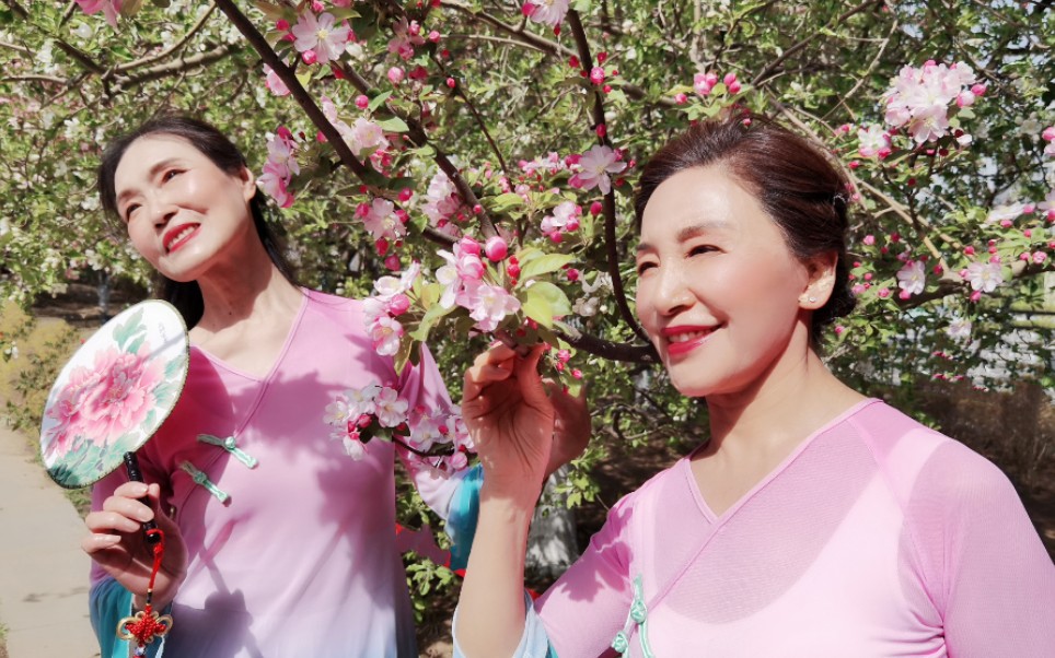 古典柔美团扇舞巜太湖美》