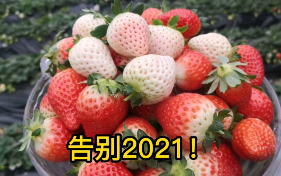 [图]2021年吹的牛都实现了吗？做个告别吧！