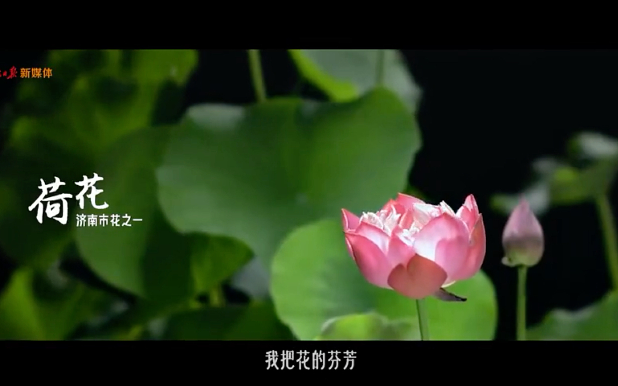 #花开种花家 中华家,“种花家”.勤劳的中国人,曾以花为纹.今天的“种花家”,到处都是日新月异的进步.愿每个#追光的你,都在奋斗中绽放绚丽之...