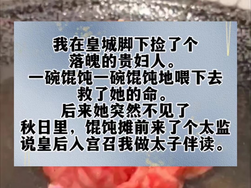 我在皇城脚下捡了个落魄的贵妇人.一碗馄饨一碗馄饨地喂下去,救了她的命.后来她突然不见了.秋日里,馄饨摊前来了个太监.说皇后入宫召我做太子伴...