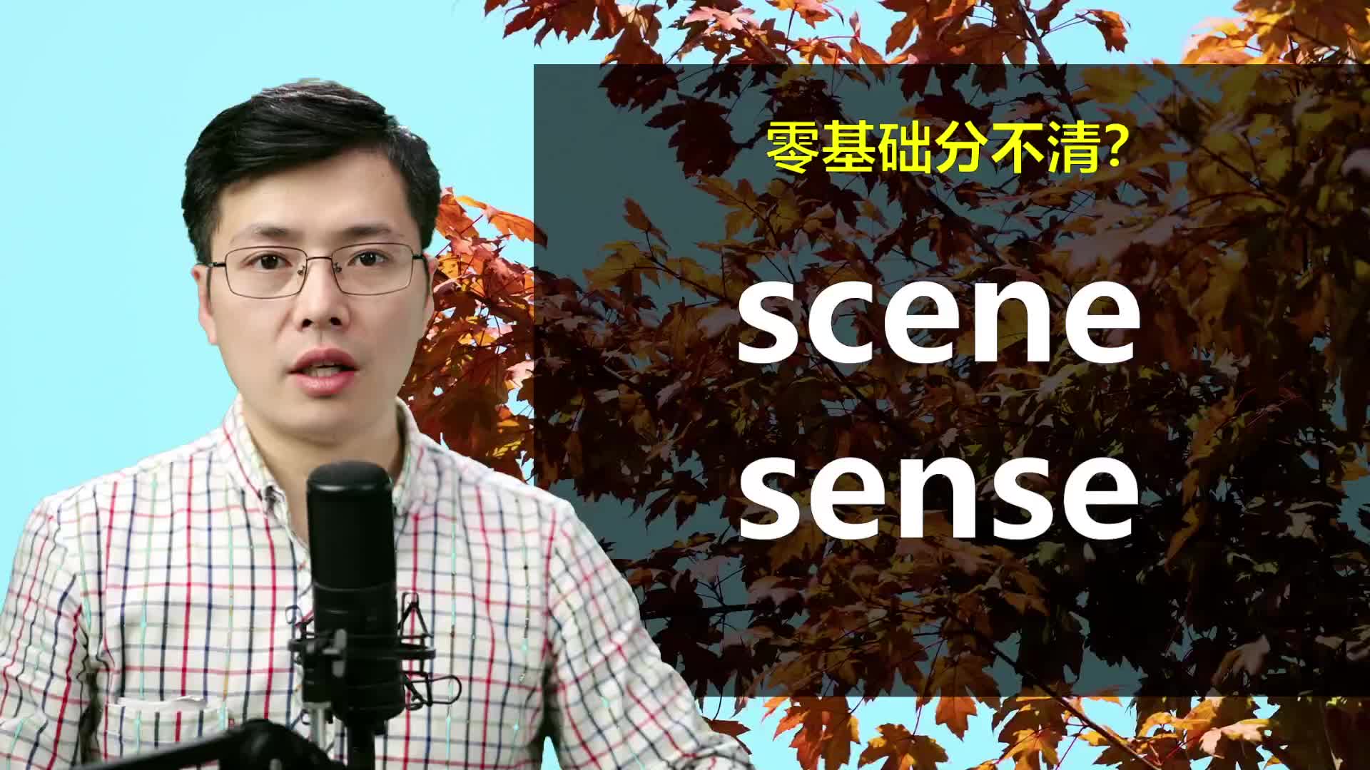 这两个英语单词scene和sense总是记混的有吗?跟老师学发音语法哔哩哔哩bilibili