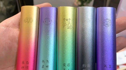 vvild小野星座se