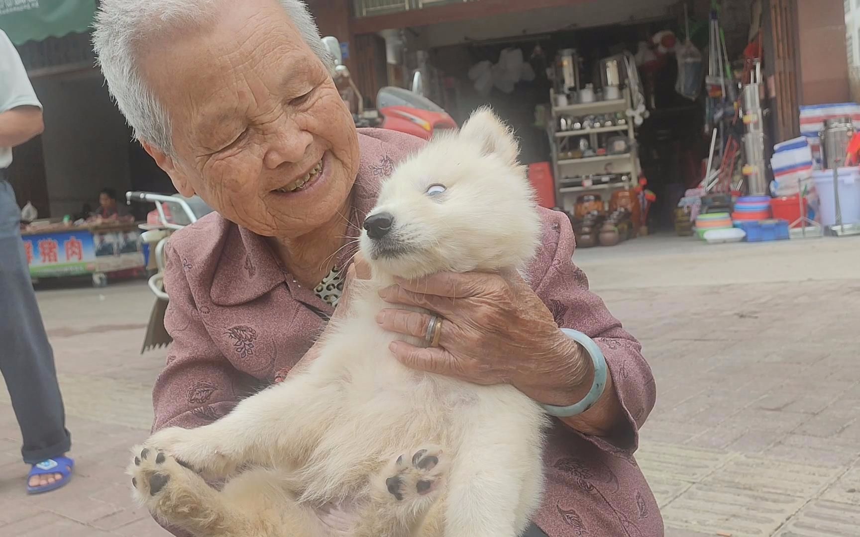 80岁奶奶从小养了5年的狗，却从不让她触碰，最后真相大白 - 哔哩哔哩