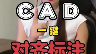 Download Video: 一键对齐柜子标注的方法#全屋定制设计#CAD快捷键#CAD命令#平面图#CAD讲堂#CAD图纸#快捷键#CAD教程#零基础