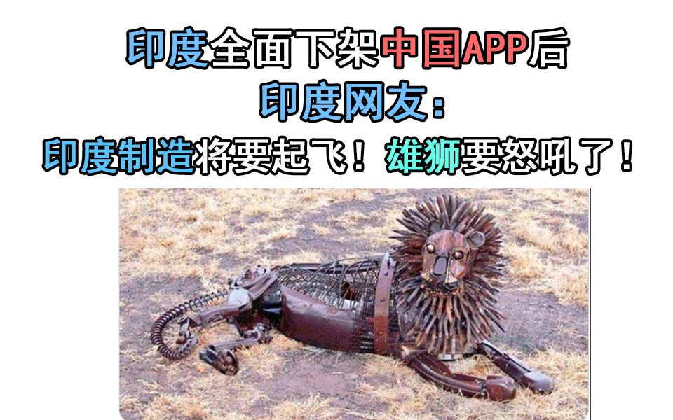 印度全面下架中国APP后 印度网友:印度制造将要起飞!结果..哔哩哔哩bilibili