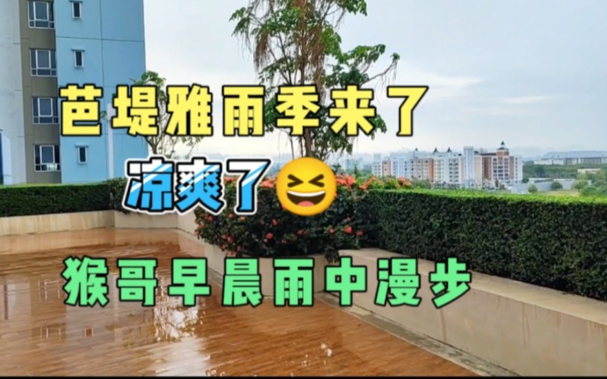 芭堤雅雨季来临,凉爽了!哔哩哔哩bilibili