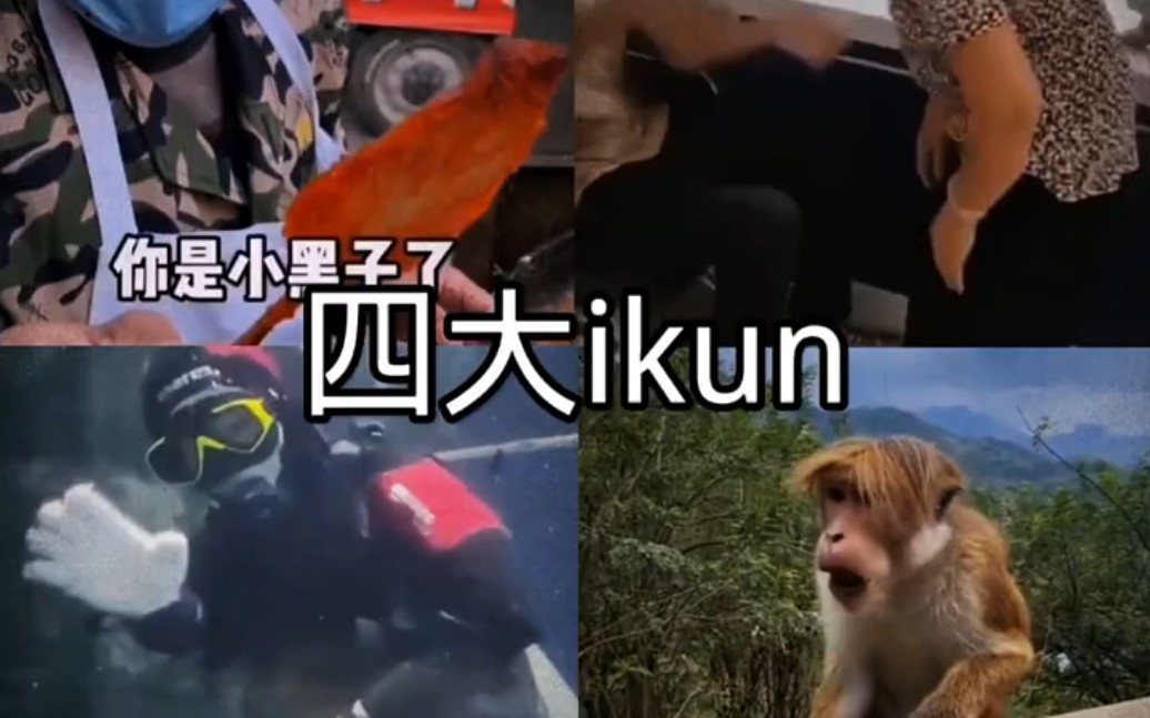 [图]四大ikun！ #小黑子#四大坤坤#满级系列