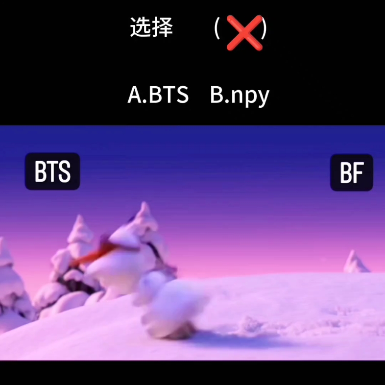 BTS/npy哔哩哔哩bilibili