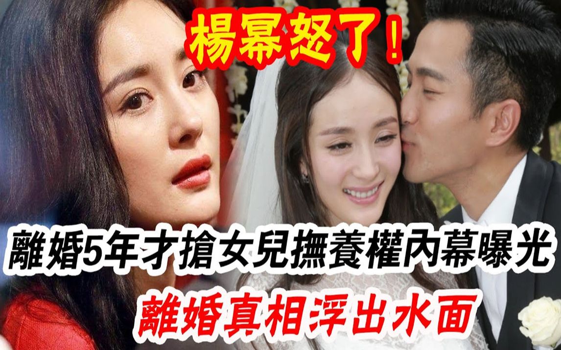 杨幂终于怒了!斥5.4亿换抚养权,刘家父子没想到她会用这一招!时隔5年离婚真相浮出水面哔哩哔哩bilibili