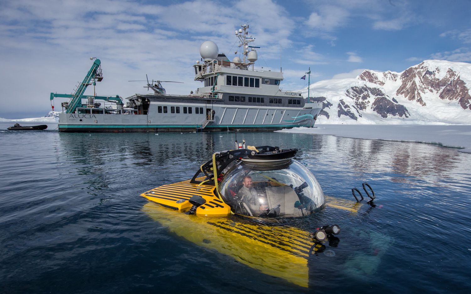 [图]南极深潜科考：布满生物的海床