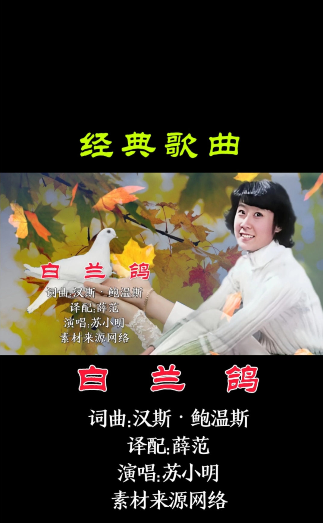 一首优美的老歌《白兰鸽》带你回到八十年代,演唱:苏小明