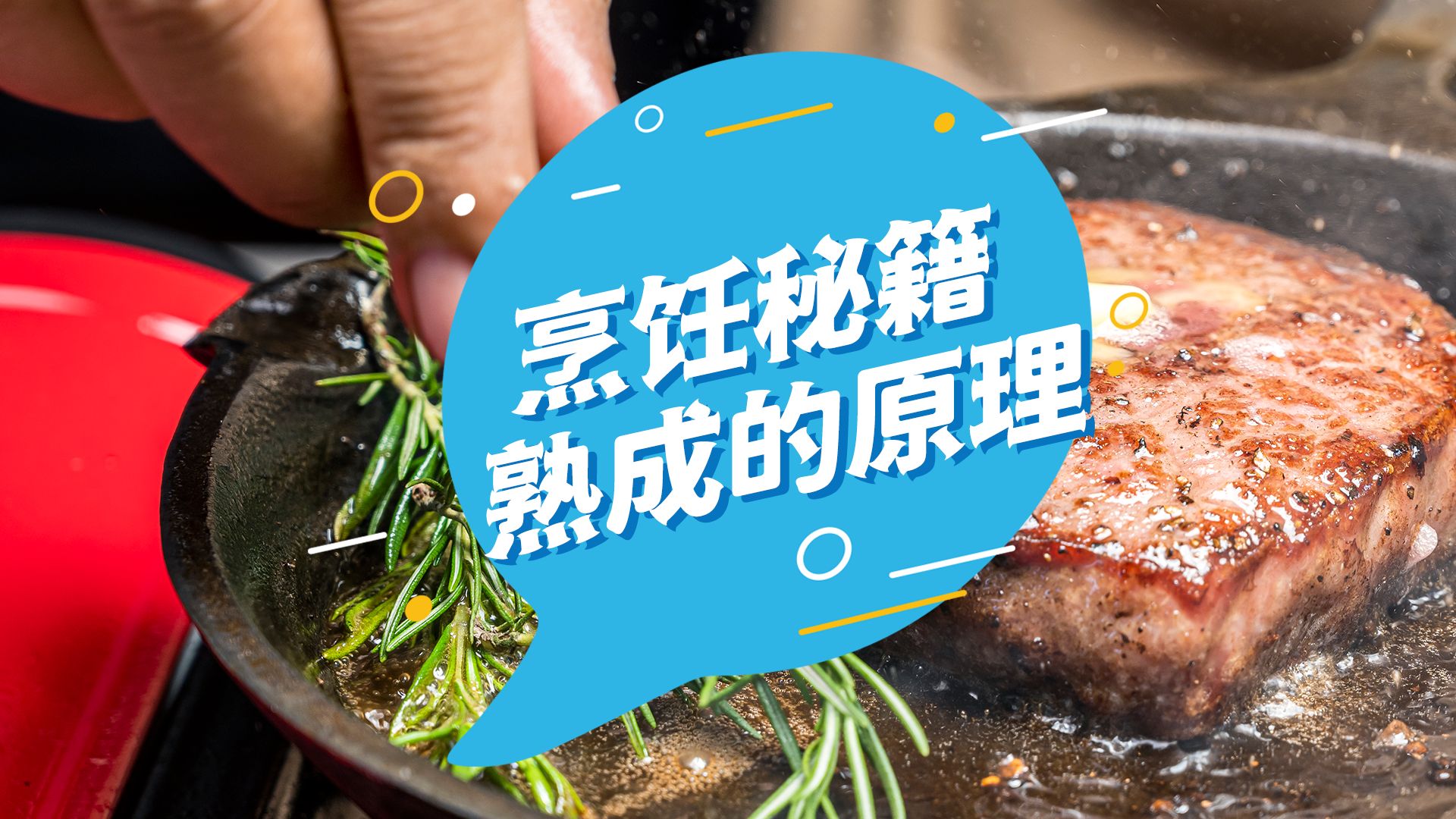 牛肉熟成|为什么大家喜欢吃熟成牛肉,熟成的核心是钙蛋白酶!它们能分解蛋白质从而逐步提升牛肉的嫩度和口感!哔哩哔哩bilibili