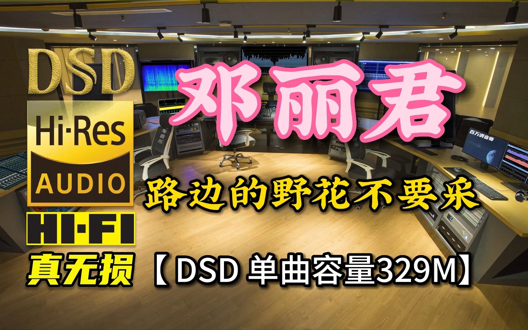 [图]邓丽君经典歌曲《路边的野花不要采》DSD完整版，单曲容量329M【30万首精选真正DSD无损HIFI音乐，百万调音师制作】