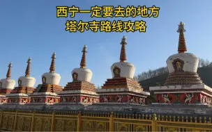 Descargar video: 西北青海旅行必打卡地：西宁塔尔寺，实拍分享保姆级游玩攻略