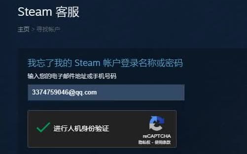 steam 人 机 验 证