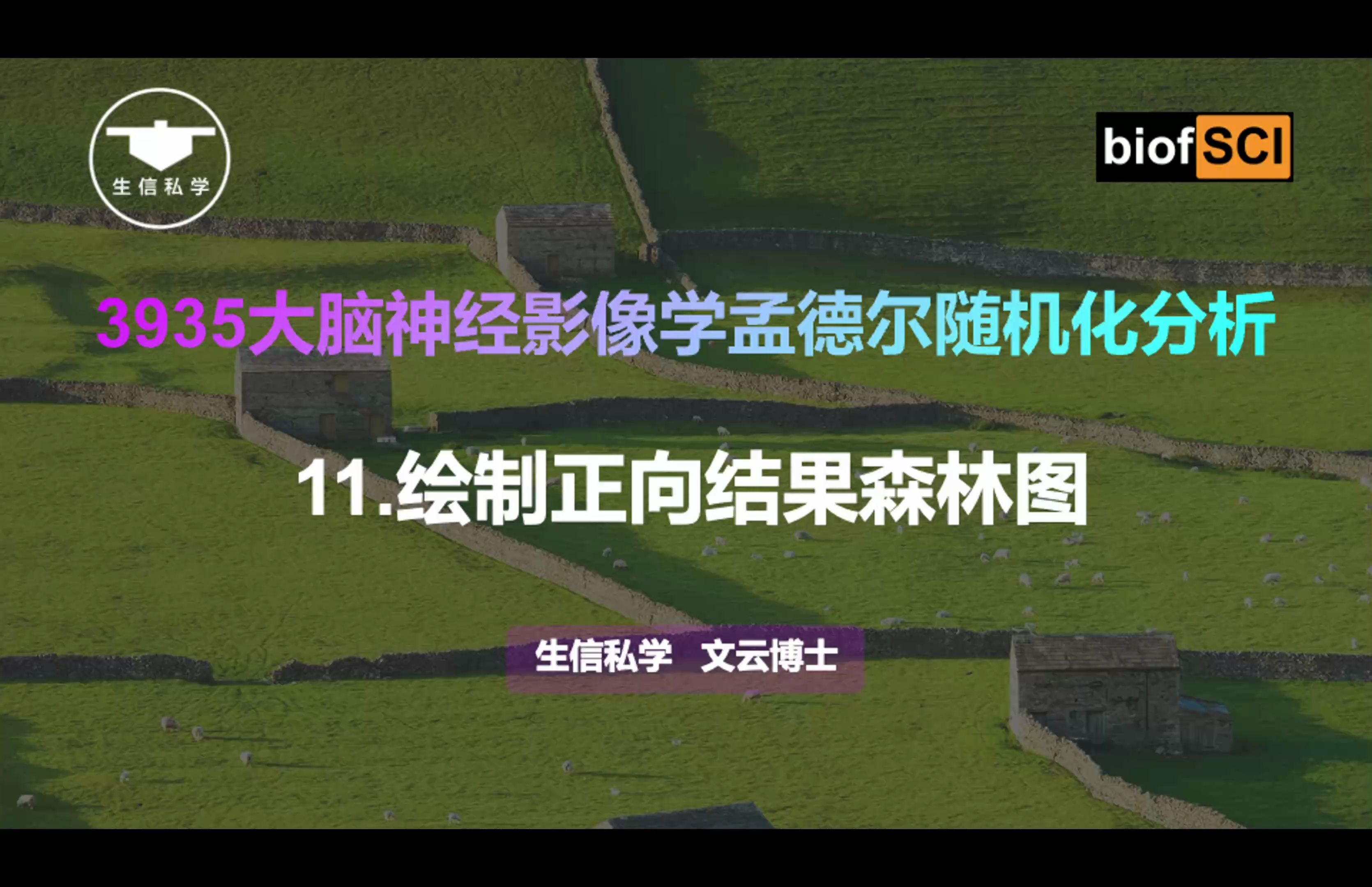 11.绘制森林图「大脑神经影像学双向孟德尔随机化分析(M39)」哔哩哔哩bilibili