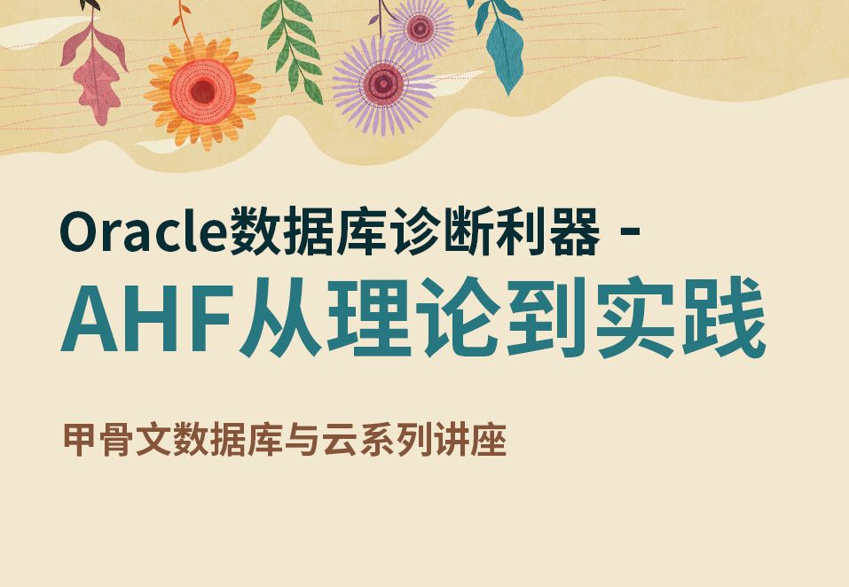 Oracle数据库诊断利器 AHF从理论到实践20240906哔哩哔哩bilibili