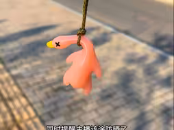 这是一只很神奇的鸭子