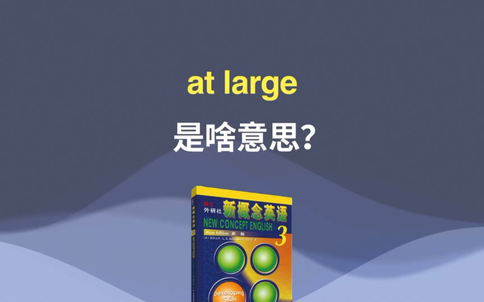 at large是什么意思?哔哩哔哩bilibili